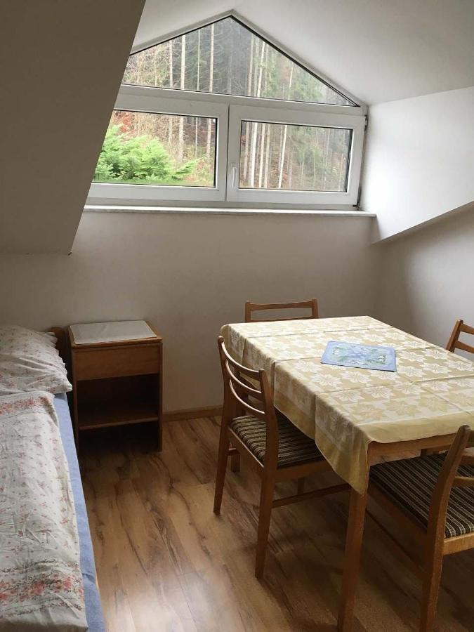 Apartmán Apartman - Rokytnice nad Jizerou Exteriér fotografie