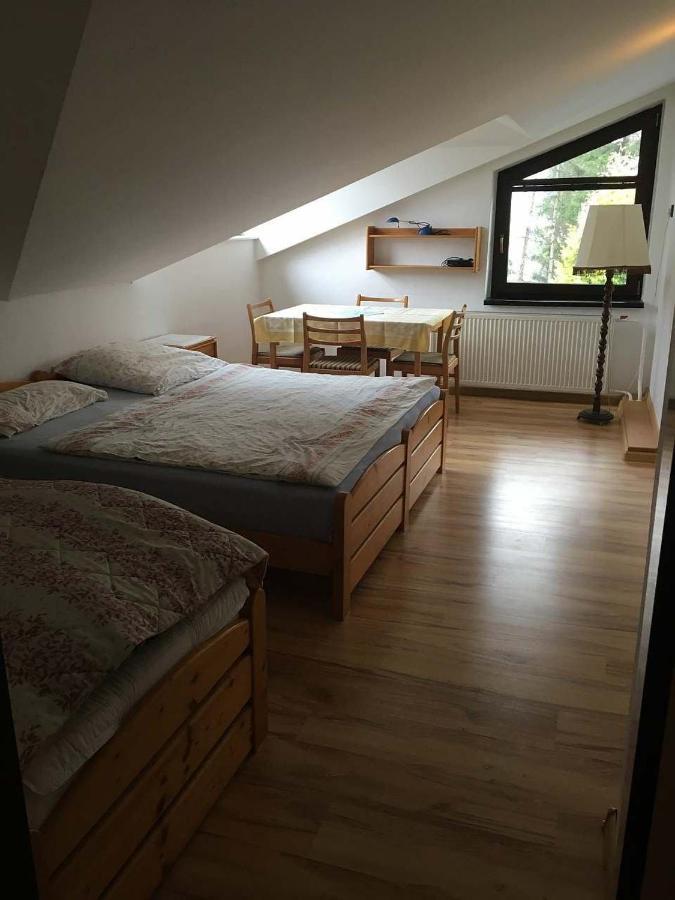Apartmán Apartman - Rokytnice nad Jizerou Exteriér fotografie